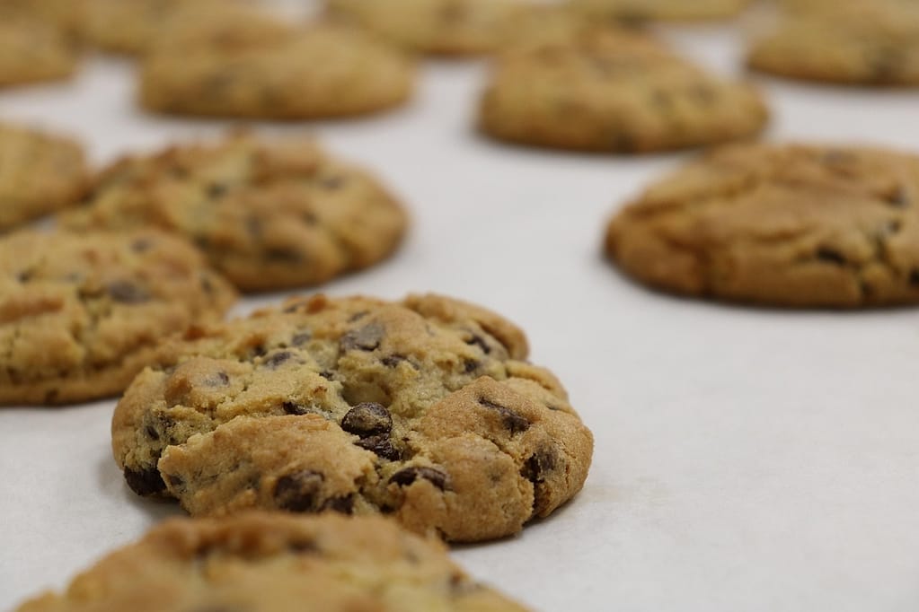 eggless chocolate chip cookies