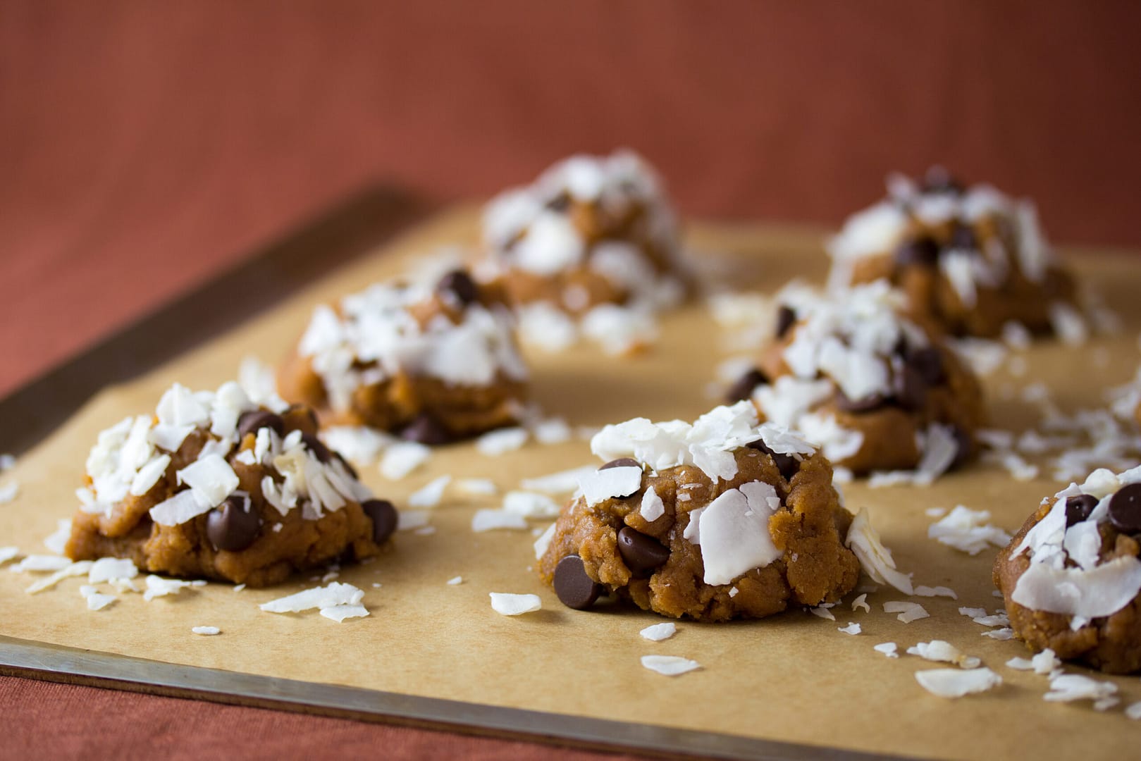 coconut chocolate chip cookies